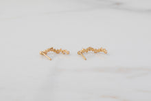 Ladda upp bild till gallerivisning, DAGSMEJA - Örhängen